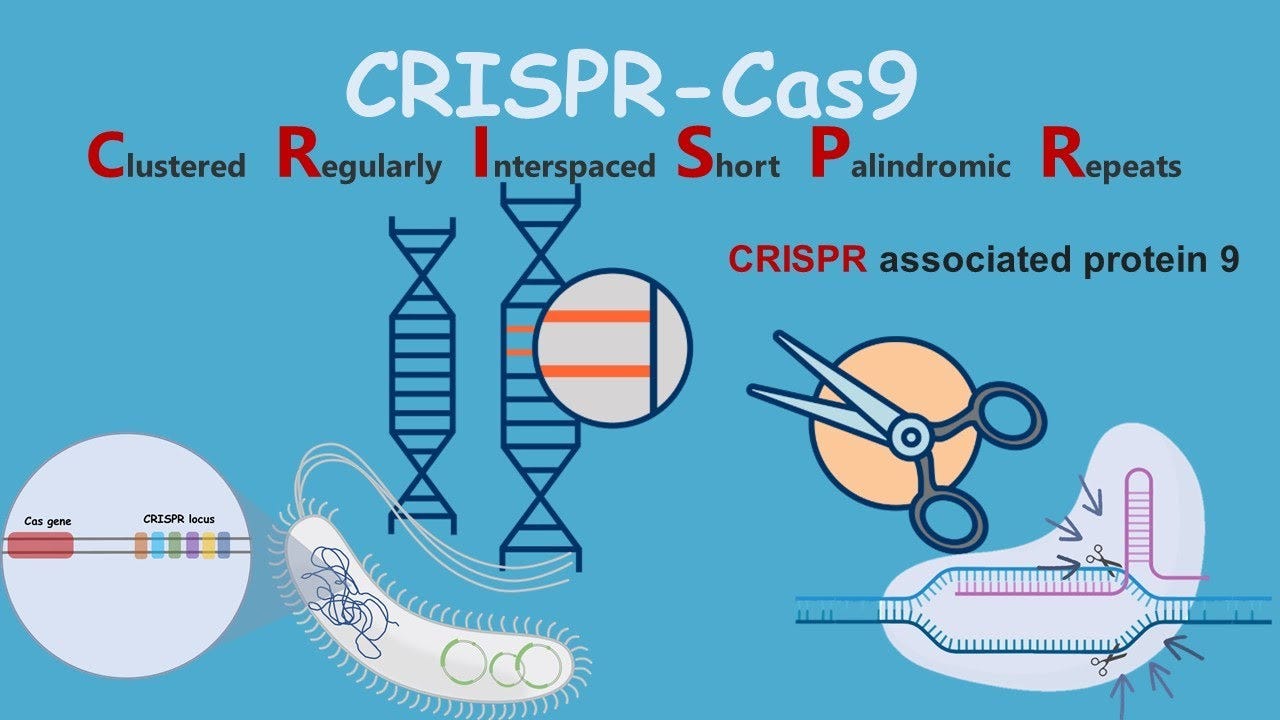 CRISPR-Cas9 : Introduction and discovery - YouTube