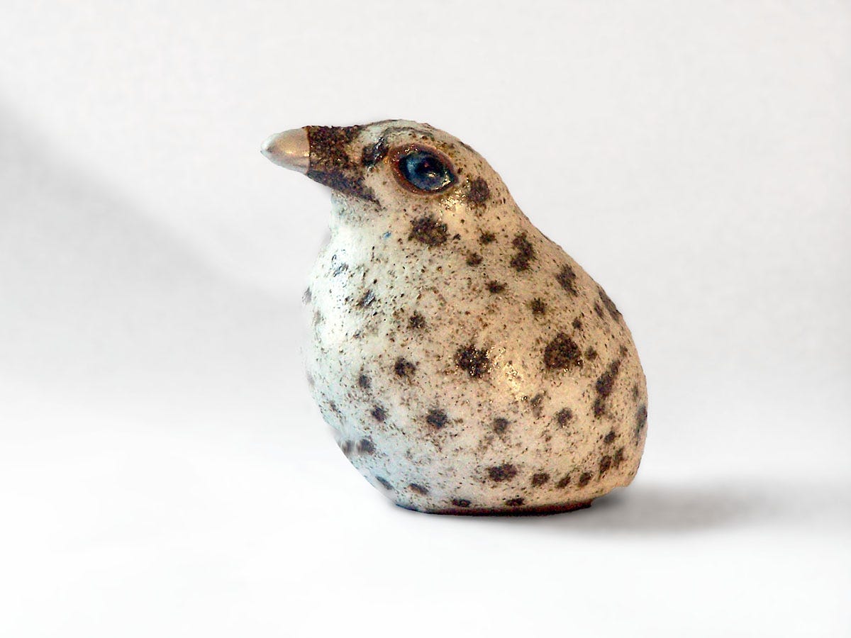 The stoneware slip-cast Baby Gull exemplifies the Andersen's innate talent for simplicity of form and decoration, It is brushed in the Andersen's brown slip and hand decorated with was dots painted in wax before being dipped in the Andersen's white matte glaze. The eyes are glazed in the Andersen's glossy ebony creating a reflective effect.