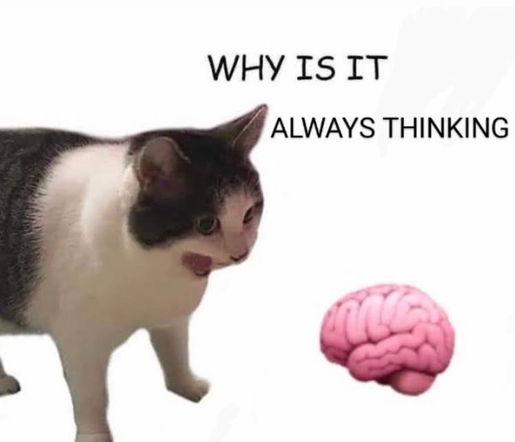 A cat screaming at a brain with text that says "WHY IS IT ALWAYS THINKING"
