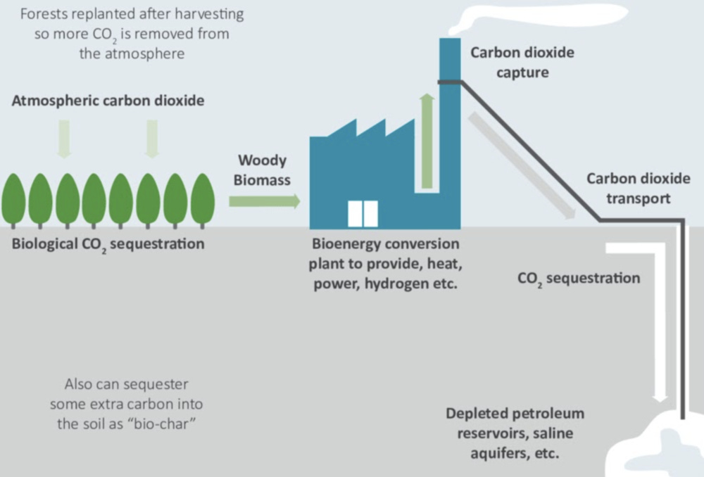 Preventing Climate Change with BECCS: Bioenergy With Carbon Capture and  Storage — PSCI