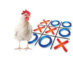 There Is A Chicken In Mexico That Can Play Tic-Tac-Toe? | Toluna