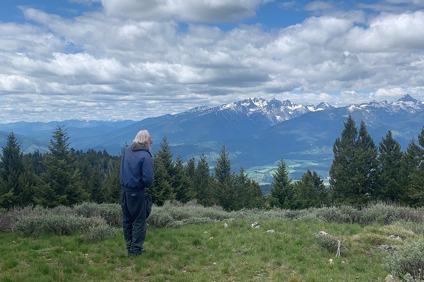 A person with gray hair stands with their back to the camera, overlooking a vast, bluish mountain range.