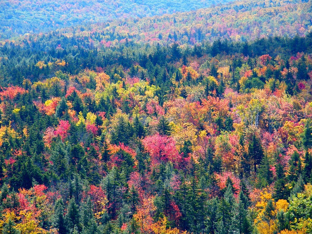Vermont Landscape