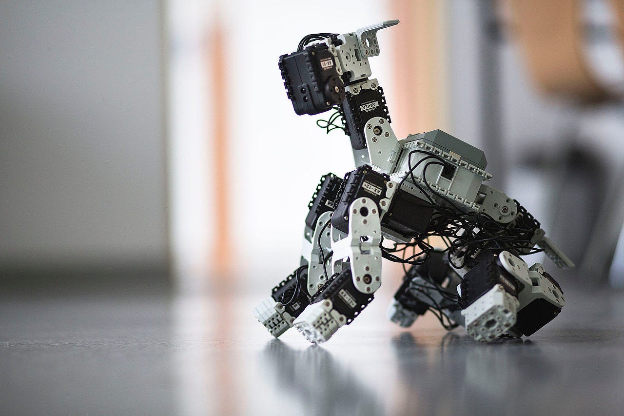 A small robot dog, with a more abstract and wirey body than most, sits on the floor.