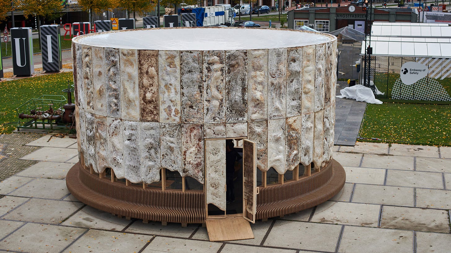 Résultat de recherche d'images pour "mycelium pavilion"