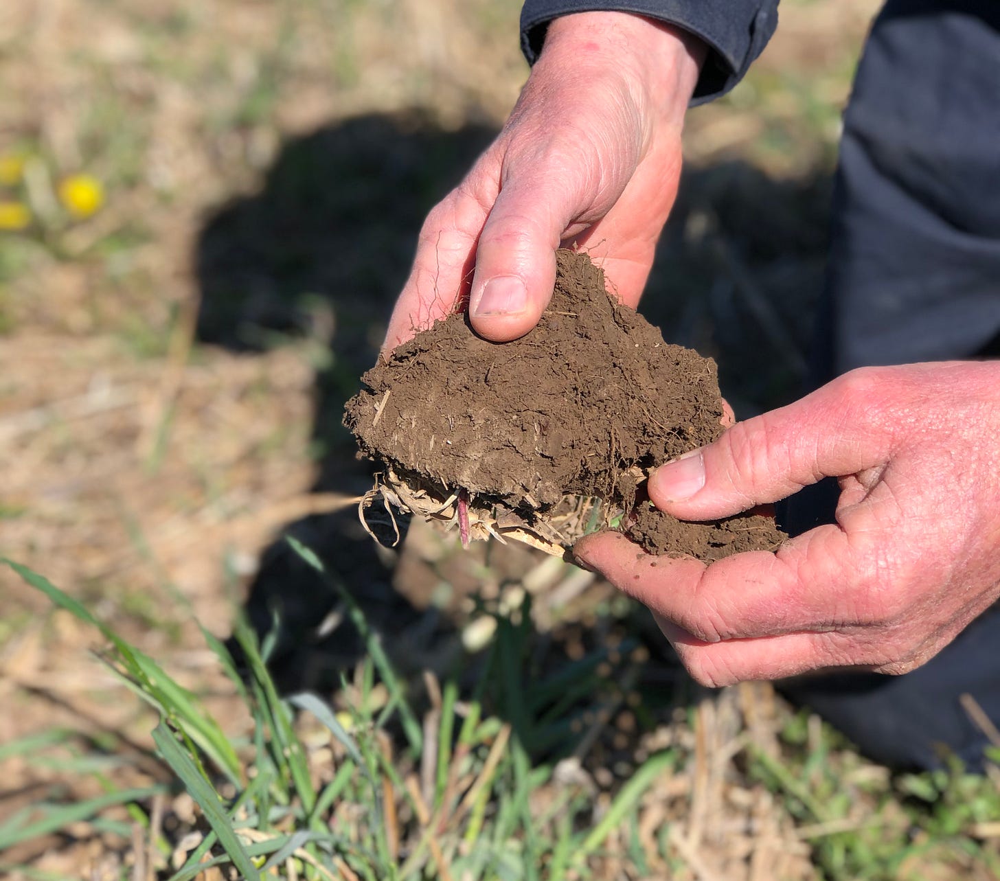 marathon county no till soil