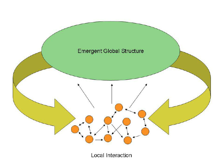 Chris Langton&#39;s view of emergence in complex systems (adapted from... |  Download Scientific Diagram