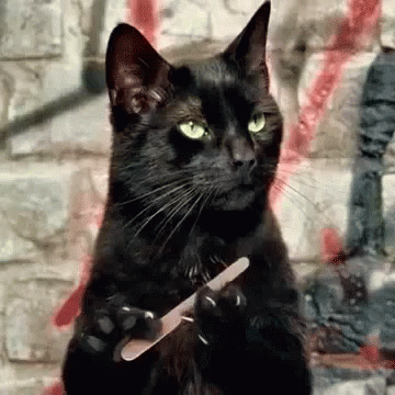 gifje van Salem de zwarte kat uit Sabrina die zijn nagels vijlt