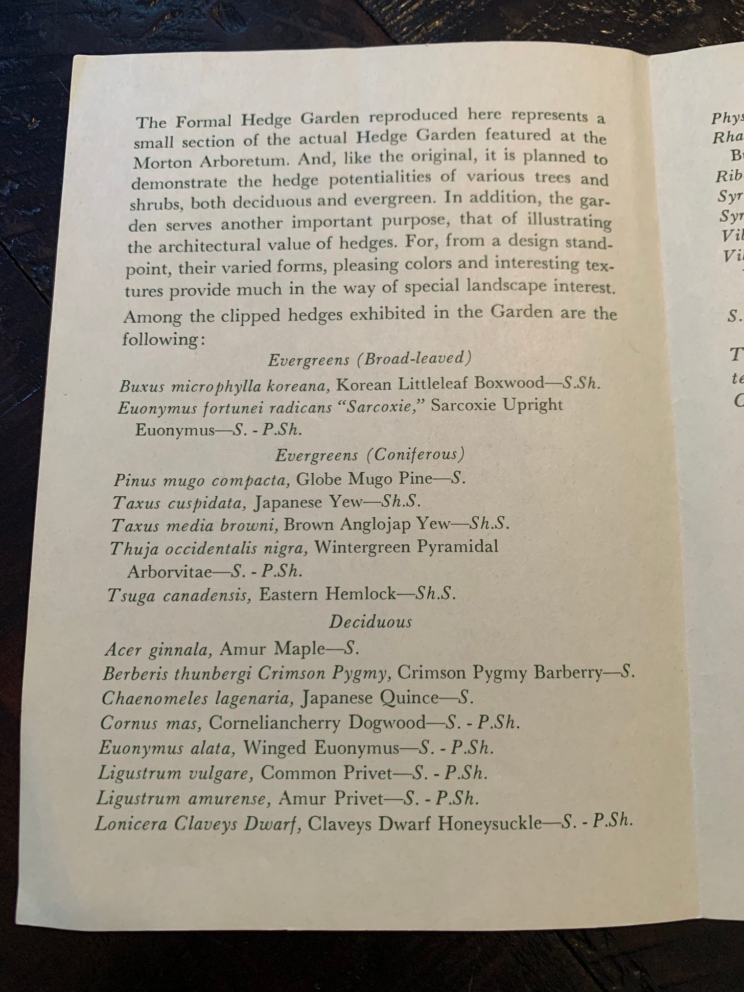 Inside of the Hedge Garden exhibit pamphlet noting which hedges are included in the display using common and scientific names.
