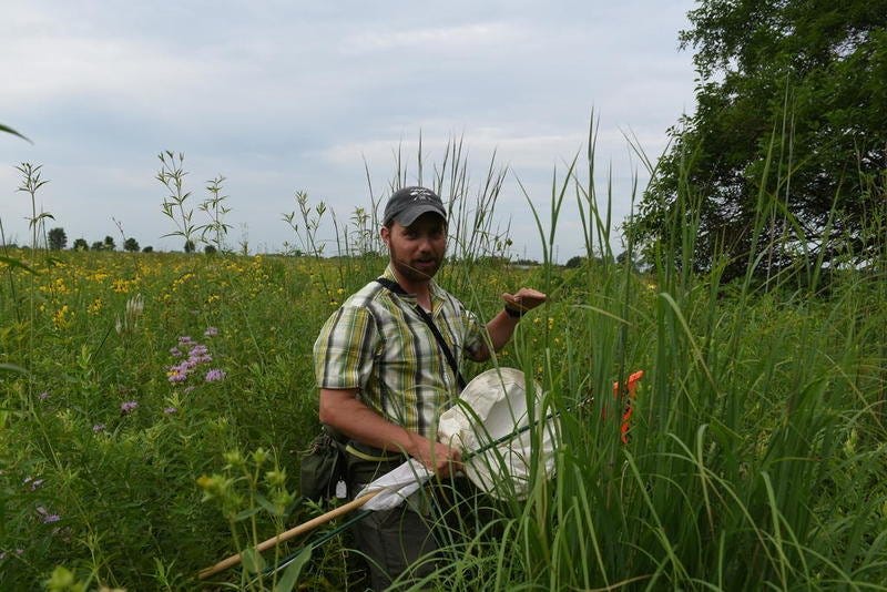 Image of researcher in field.