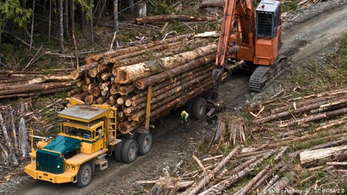 Logging in British Columbia, Canada