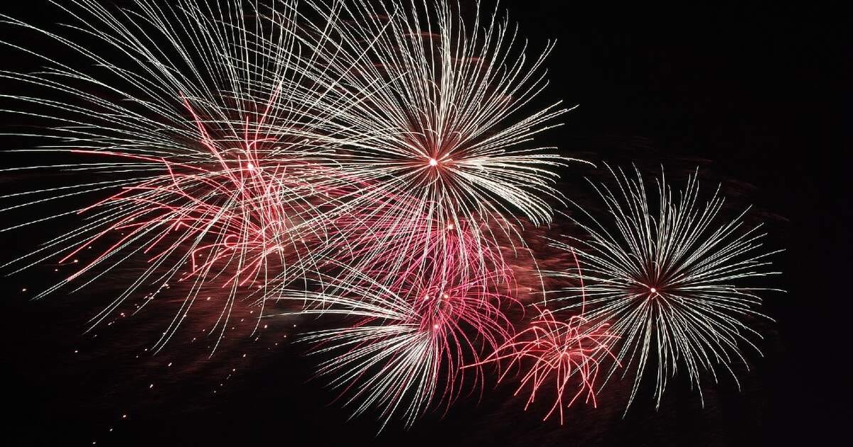 12 Dutch municipalities introduce fireworks ban for New ...