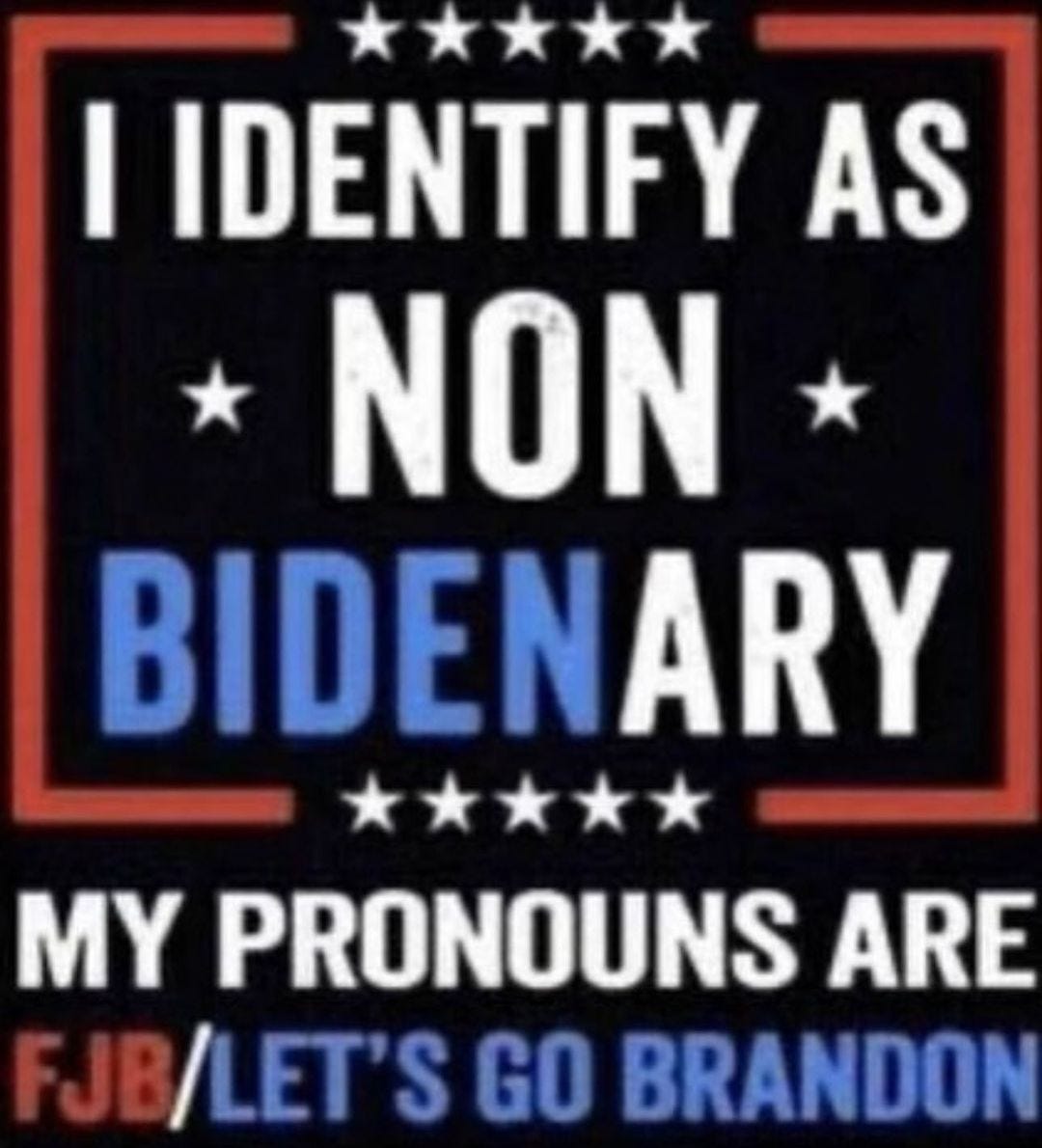 May be an image of one or more people and text that says 'I IDENTIFY AS NON BIDENARY MY PRONOUNS ARE JB/LET'S GO BRANDON'