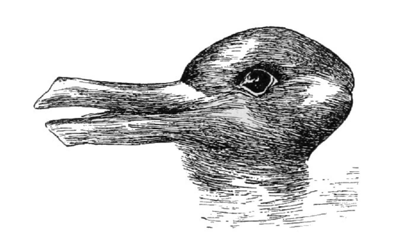 Understanding the Duck-Rabbit - Colin McGinn