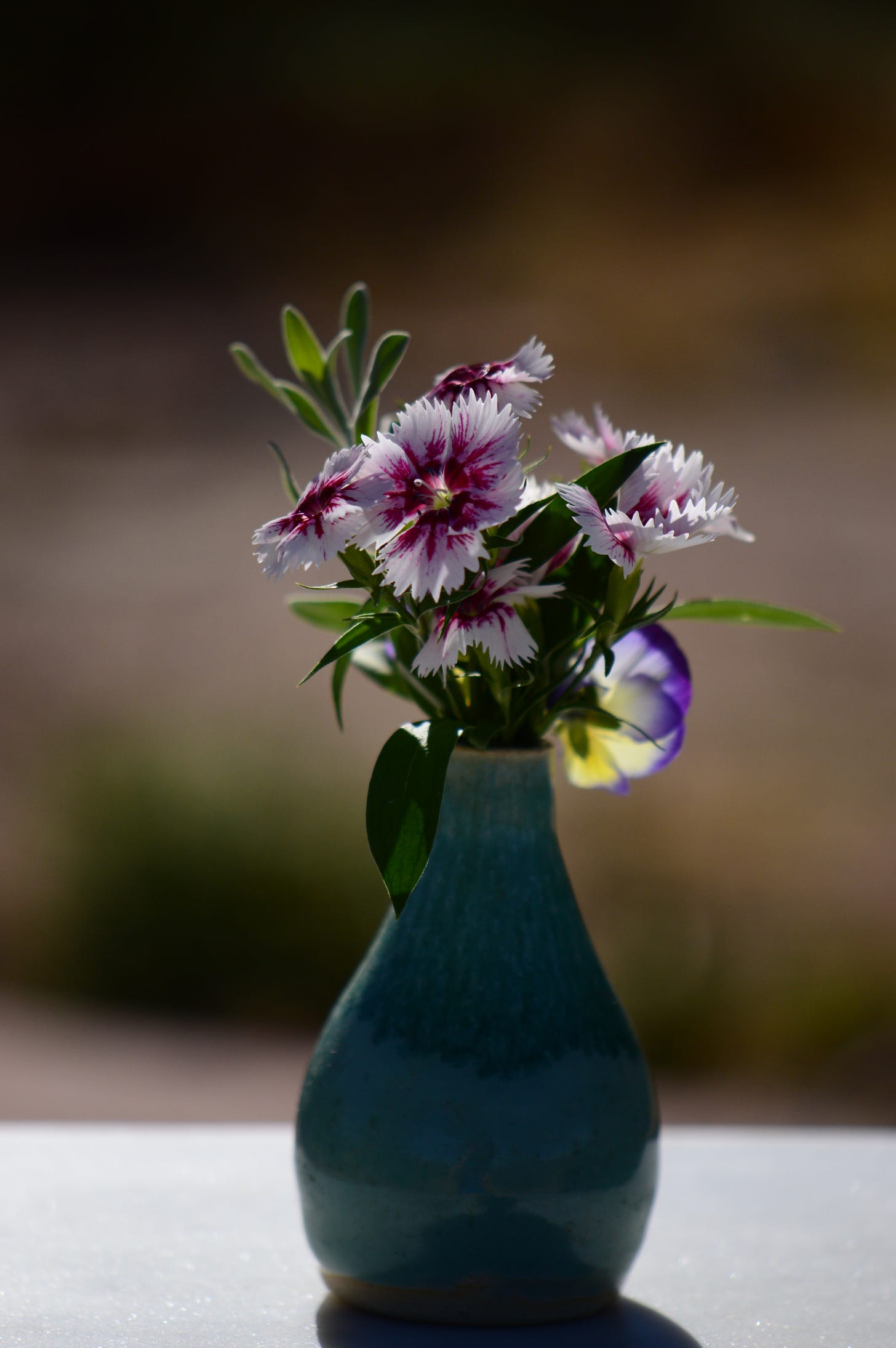 in a vase on Monday with dianthus
