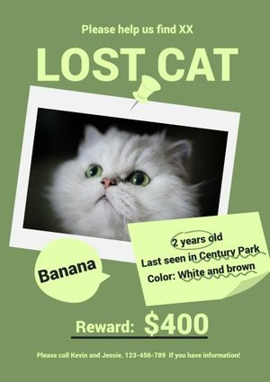 Green Lost Cat Search Notice Poster Template and Ideas for Design | Fotor