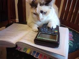 Stats with Cats: 21 Terms Experimenters Need to Know - Optimizely