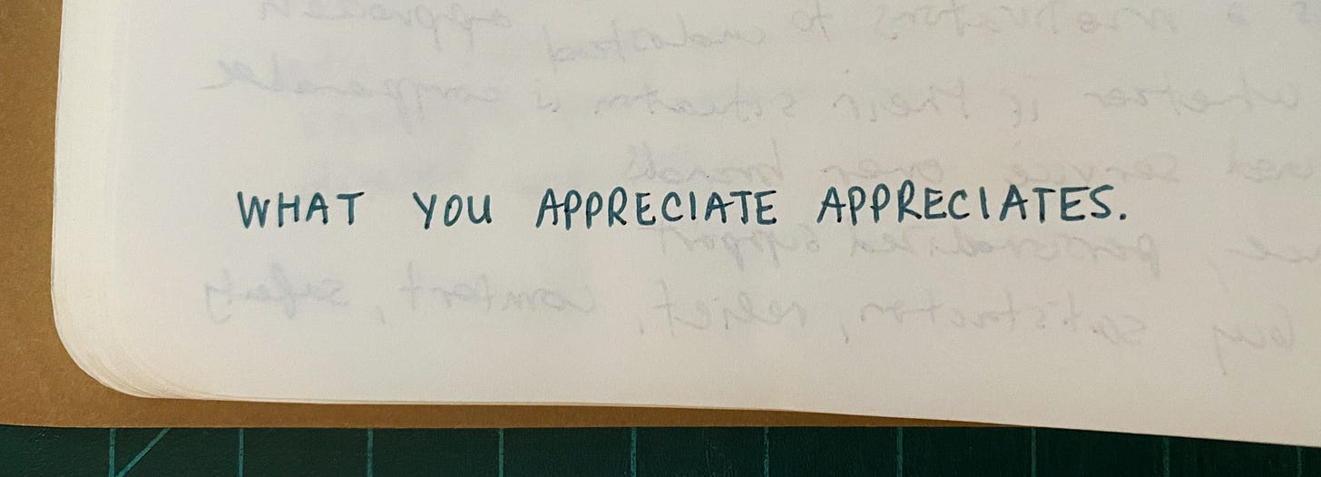 Written text on page of notebook saying "What you appreciate appreciates"