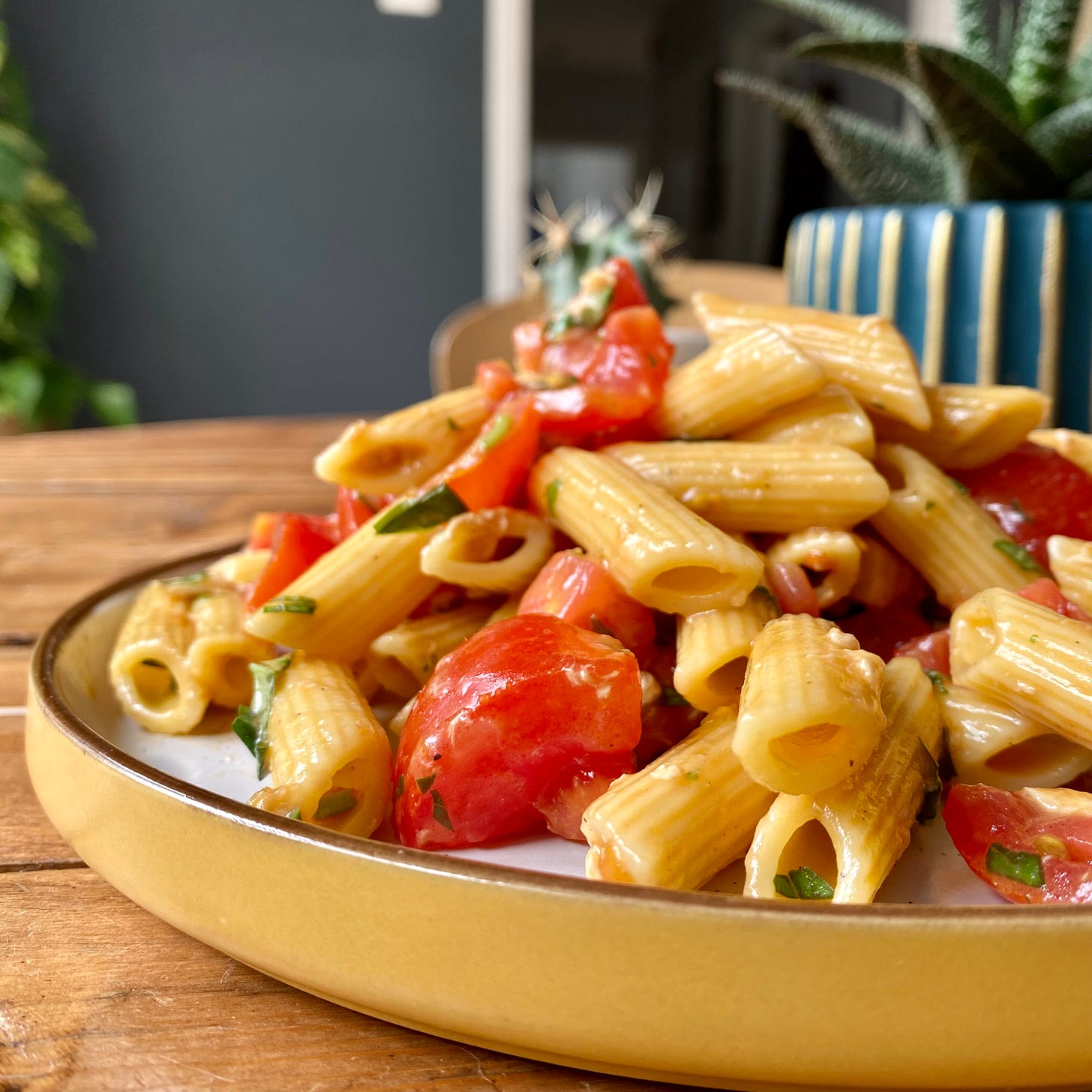 Yellow and white plate holding a pile of penne pasta, with tomatoes and flecks of basil. Placed on a wooden table, two potted cactuses are behind