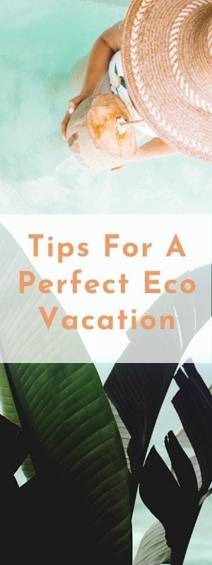 Tips for eco vacation