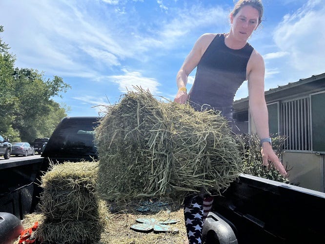 Casey hauling bales of hay