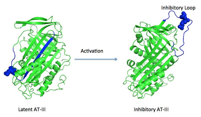 Molecular Playground/Antithrombin-Heparin - Proteopedia, life in 3D