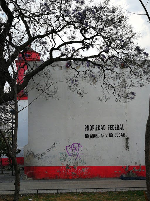 A white wall of a building, with a dark tree starkly outlined against it, branches curled. The building is graffitied and there's a black stencil of 'PROPIEDAD FEDERAL NO ANUNCIAR Y NO JUGAR'