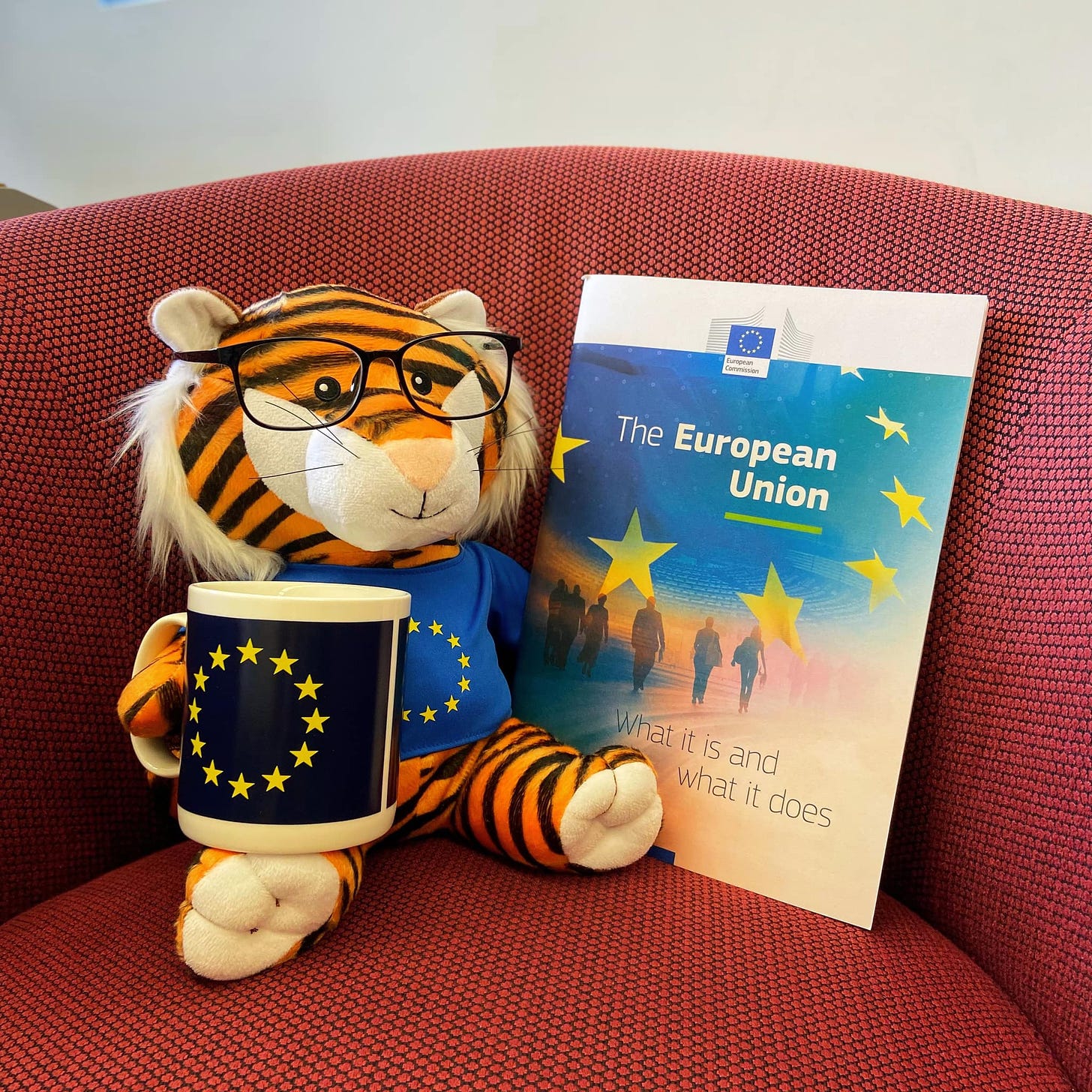 May be an image of book and text that says "The European Union itand and what it does"