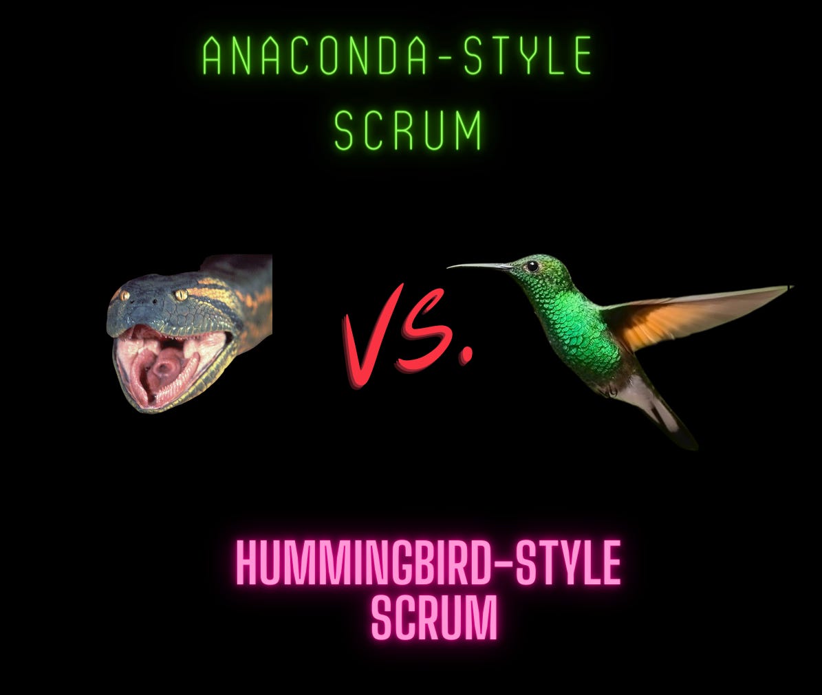 Are you practicing Anaconda or Hummingbird-style Scrum?