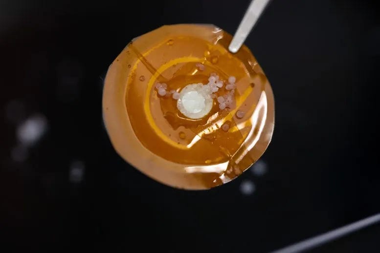 Water Desalination Membrane