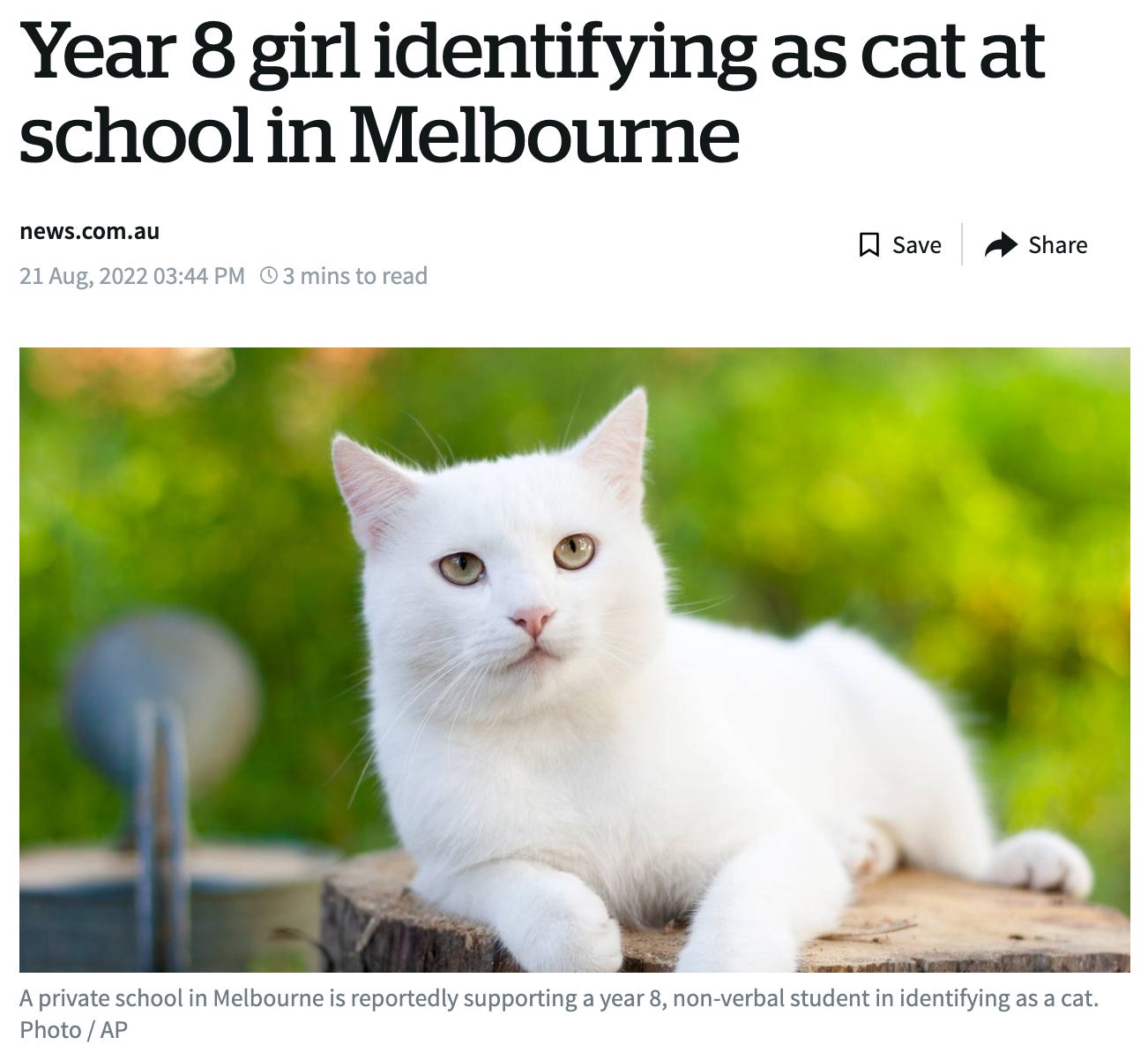 "Year 8 Girl Identifying as a cat at school in Melbourne"