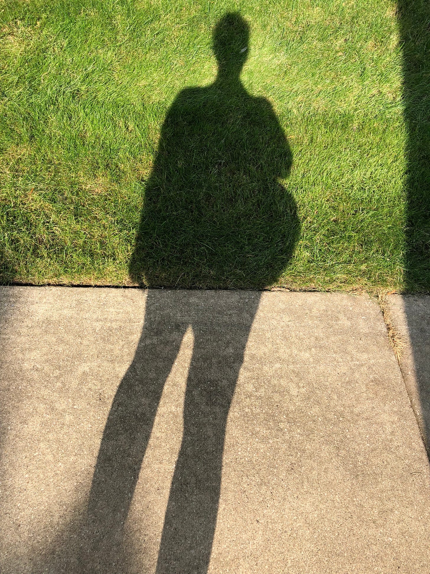 the shadow of a person cast half on grass and half on sidewalk