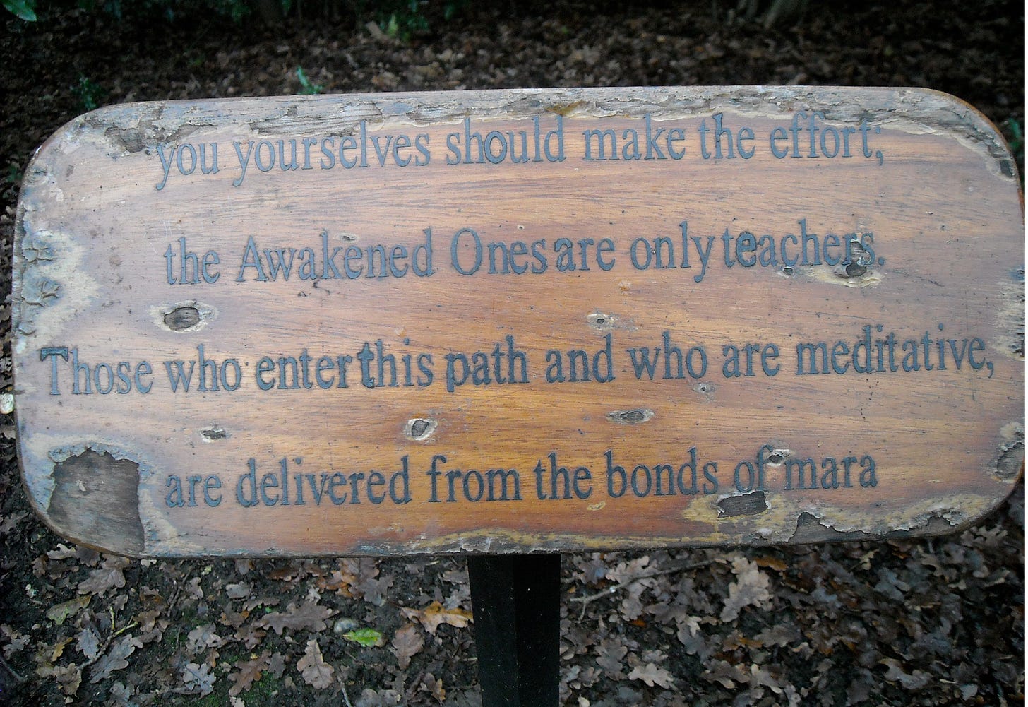 Photo of a weathered wooden sign that reads: you yourself should make the effort. The awakened ones are only teachers. Those who enter the path and who are meditative are delivered from the bonds of mara