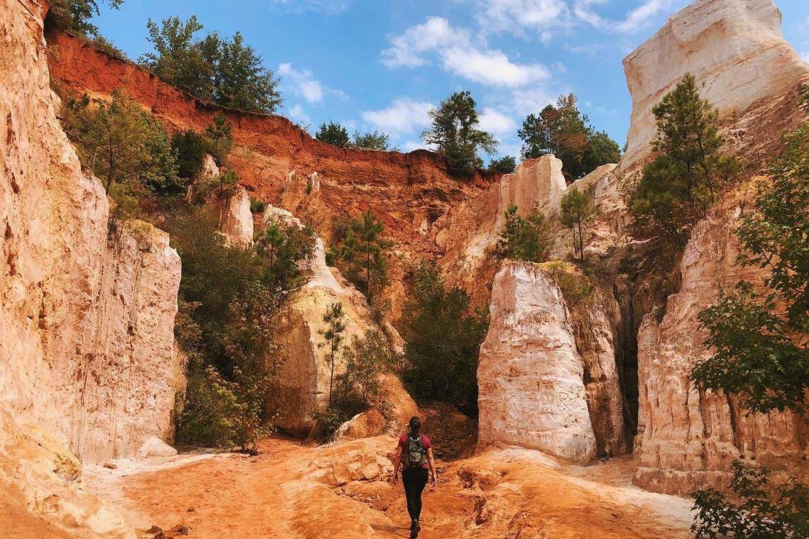 Guide to Providence Canyon State Park | Official Georgia Tourism & Travel  Website | Explore Georgia.org