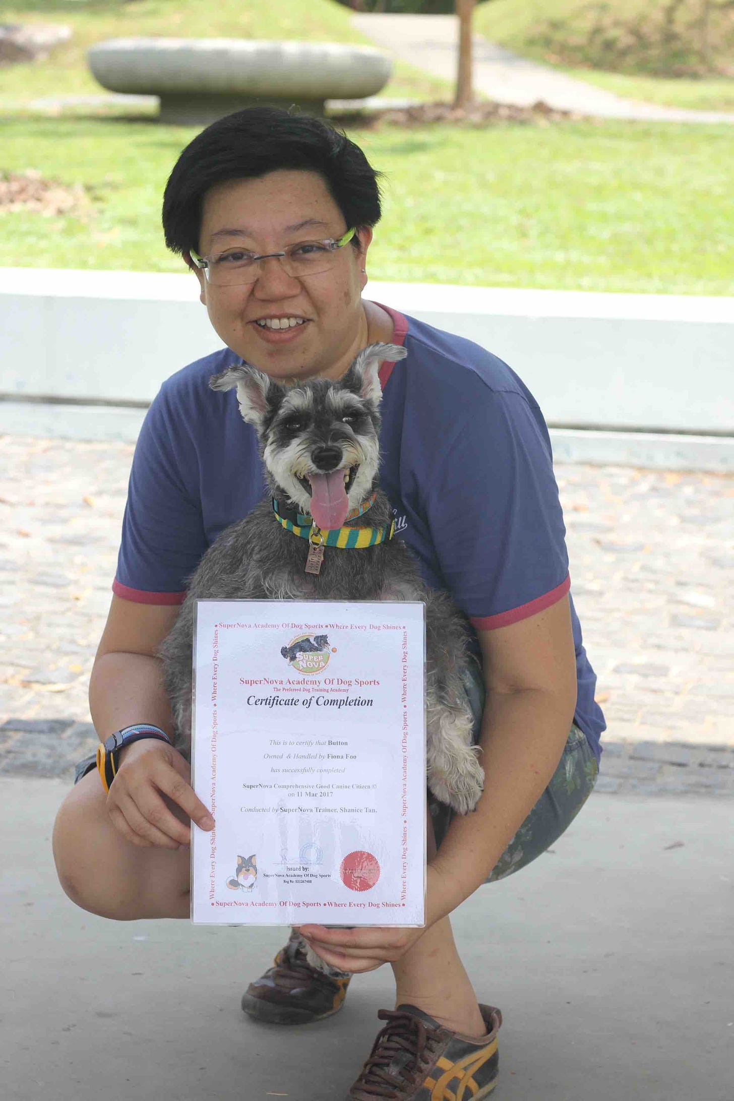 Fiona Foo Button the therapy dog