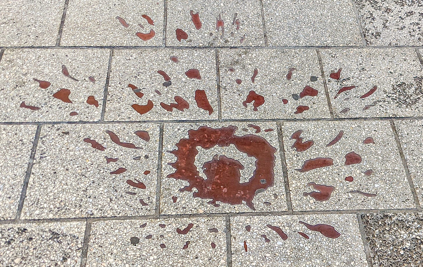 A Sarajevo Rose, red against the stone sidewalk. 