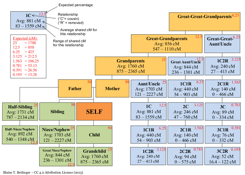 consanguinity chart in centimorgans