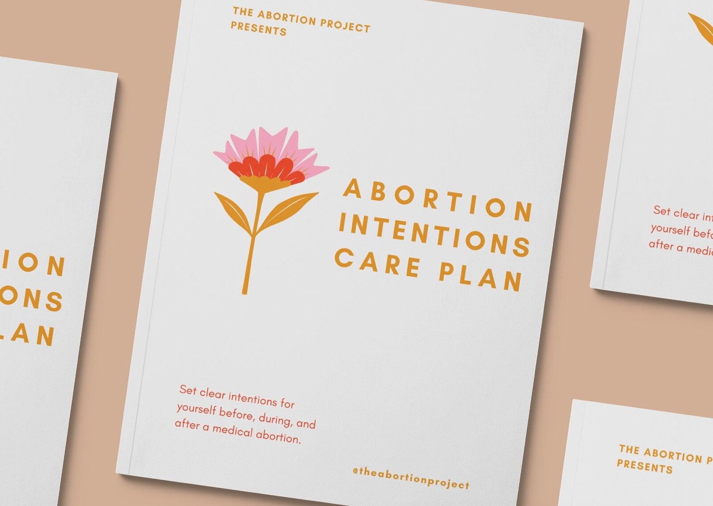 Abortion Intention Care Plan