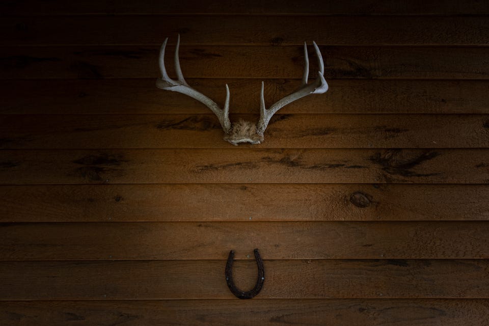 Antlers hung on a wall over a horseshoe