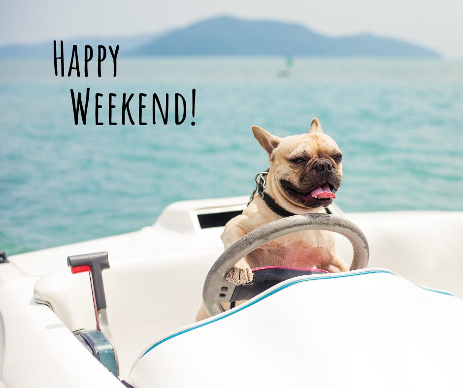 Pin by Brenda on cute | Happy weekend, Bulldog, French bulldog