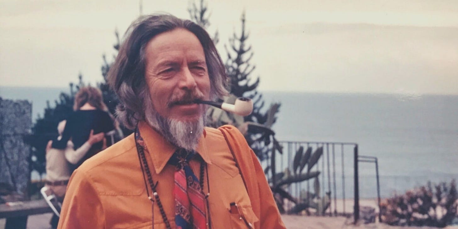Alan Watts Quotes: 35+ All-Time Best to Live the Most Meaningful Life |  Sloww