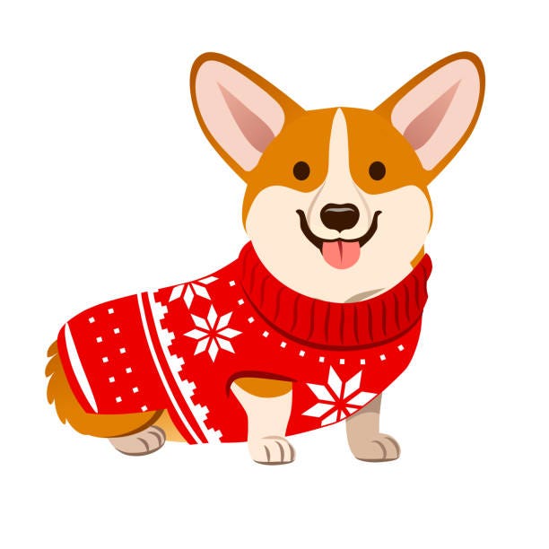Corgi Dog Wearing A Christmas Red Sweater With Nordic Snowflake Pattern  Vector Cartoon Illustration Isolated On White Funny Humorous Christmas Pet  Lover Pet Clothes Theme Design Element Stock Illustration - Download Image