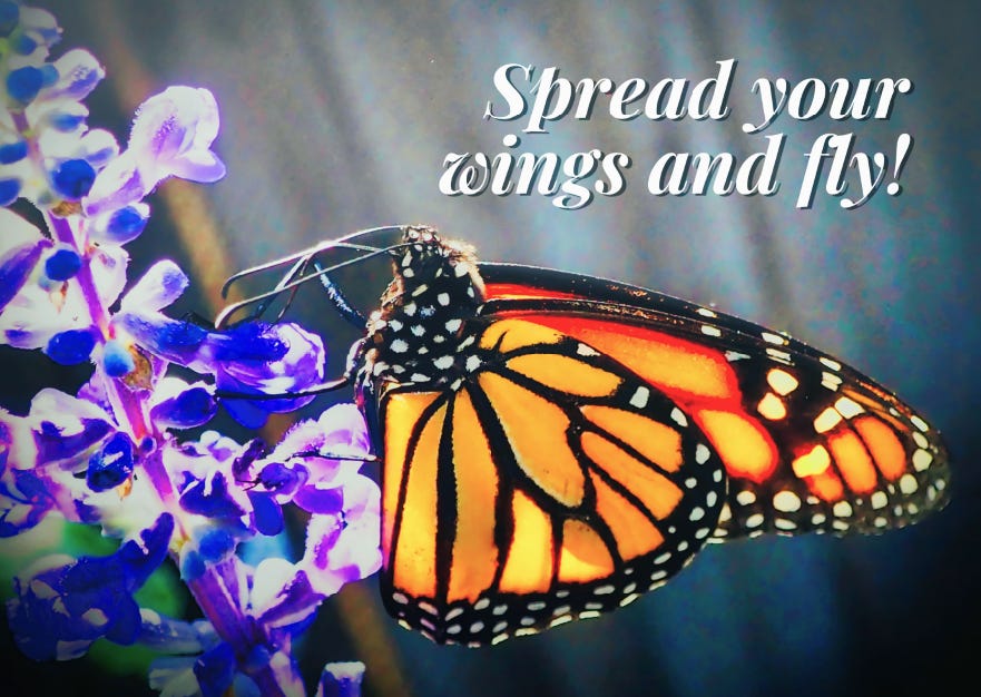 butterfly quote spread your wings and fly