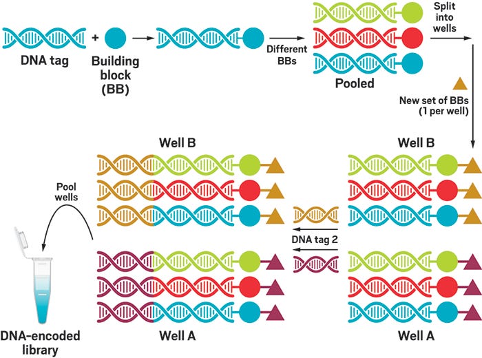 A scheme showing steps taken to build a DNA-encoded library.