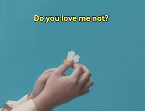 gif of someone picking the petals of a large daisy. Text says'do you love me or not?'