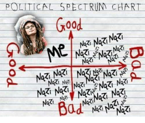 POLITICAL SPECTRUM CHART Nazi NRI Nazi Nazr | Spectrum Meme on ME.ME