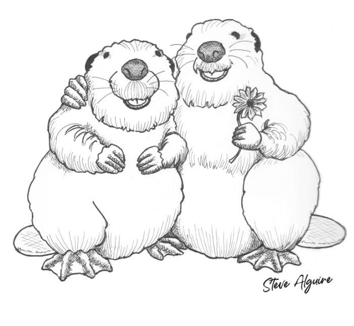 Line drawing of two beavers, one holding a flower with an arm around the other.