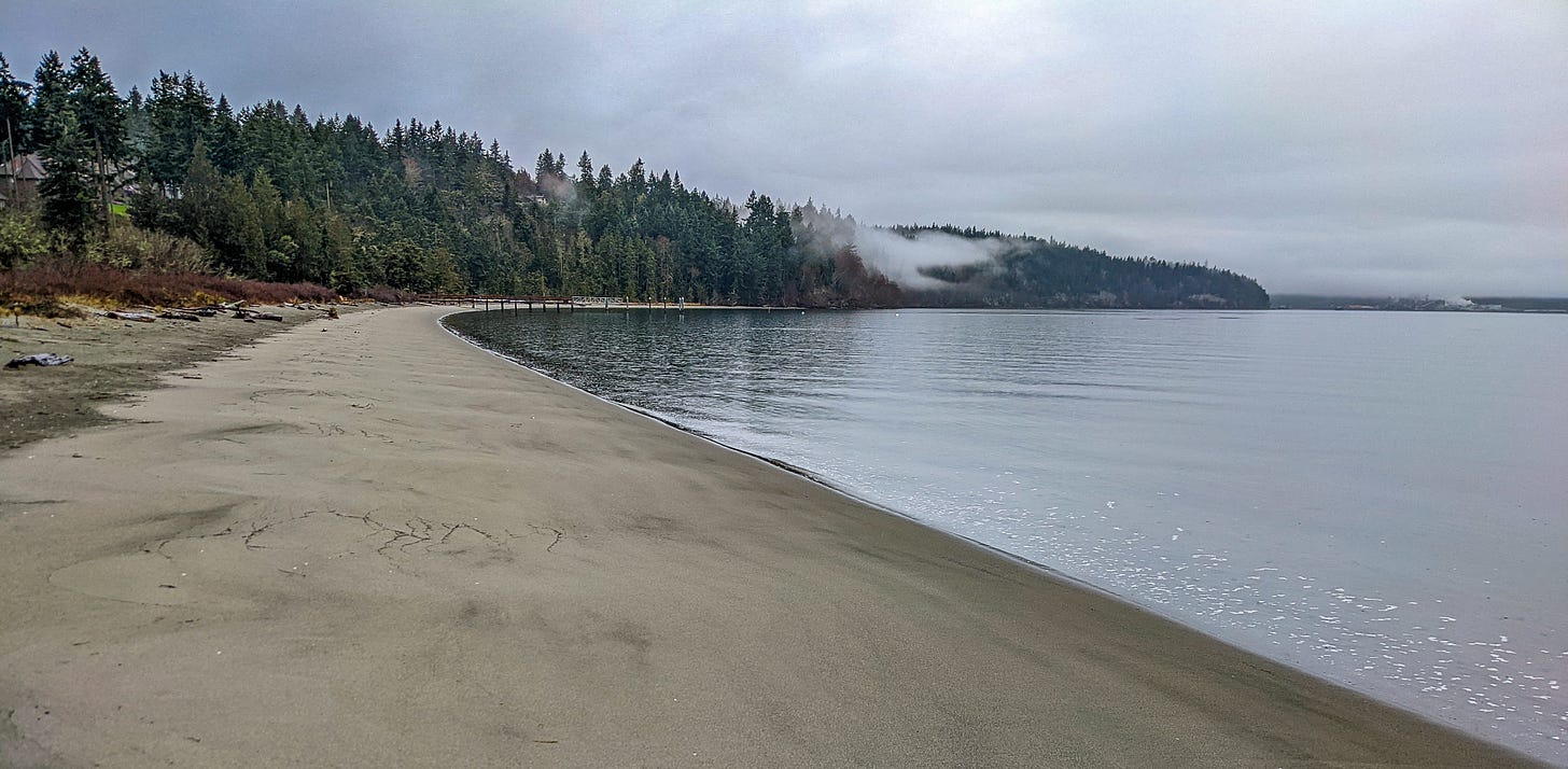 A long stretch of beach in Washington State underneath grey skies.
