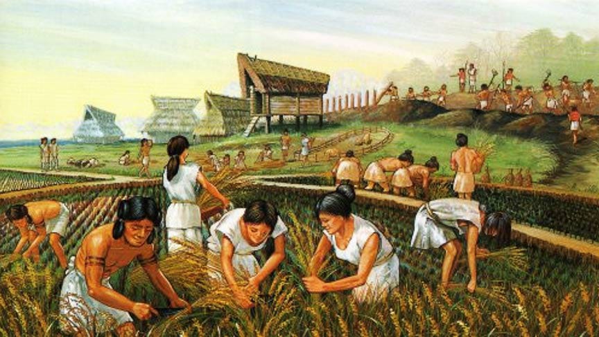 As ancient farming developed, so did cooperation — and violence