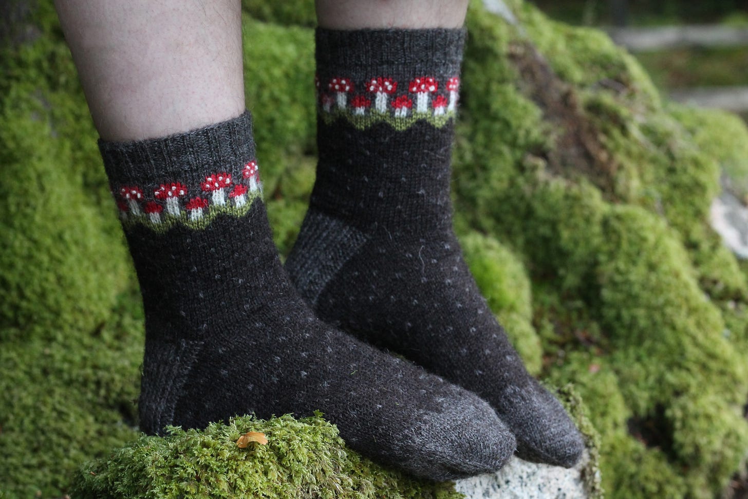 Image description: Katie's feet, standing on a mossy rock, sporting socks to match the hat! Knitted mainly in darkest brown, the socks have their ring of joyful mushrooms around the ankles so they can peek up all cute out of your walking boots.